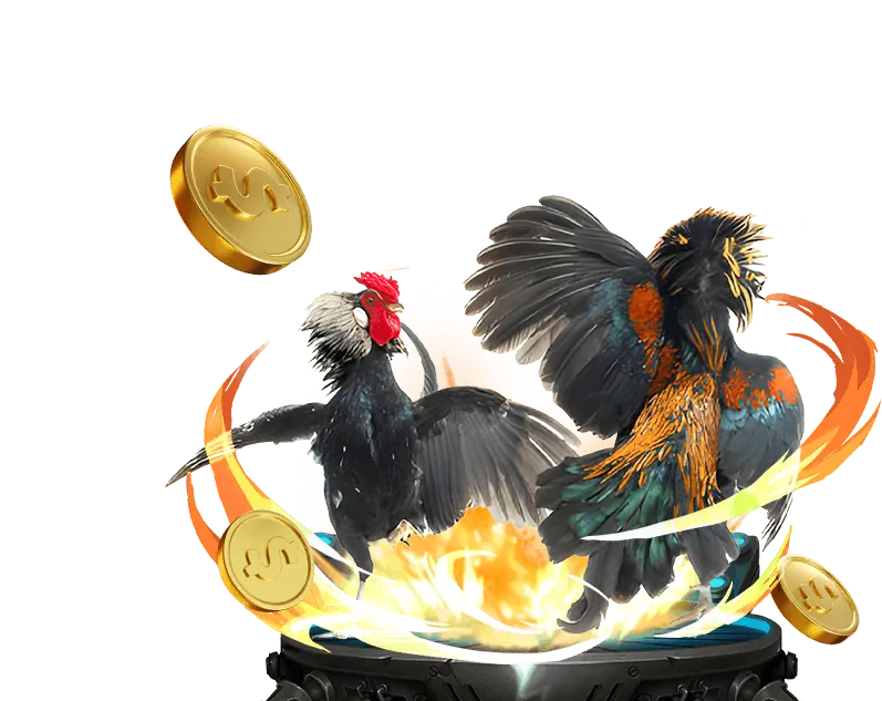 Tổng quan luật chơi PKV Poker